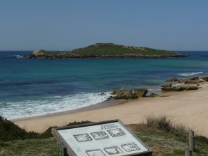 Ilha_do_pesseigueiro