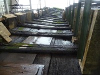 Romeinse boot Lelystad