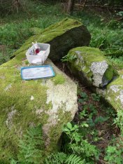 Weer een schat gevonden