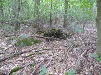 Midtskov 83 runddysse