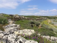 Selinunte muur acropolis