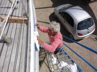 Knippen en scheren Wim