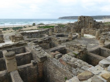 Visfabriek Baelo Claudia