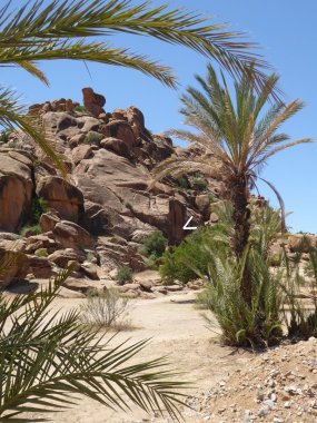 Tafraoute rotstekening gazelle