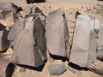 Tamghilt N'zerzem neushoorn