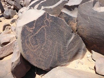 Tamghilt N'zerzem olifant