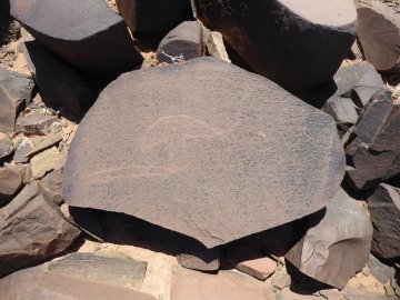 Tamghilt N'zerzem struisvogel